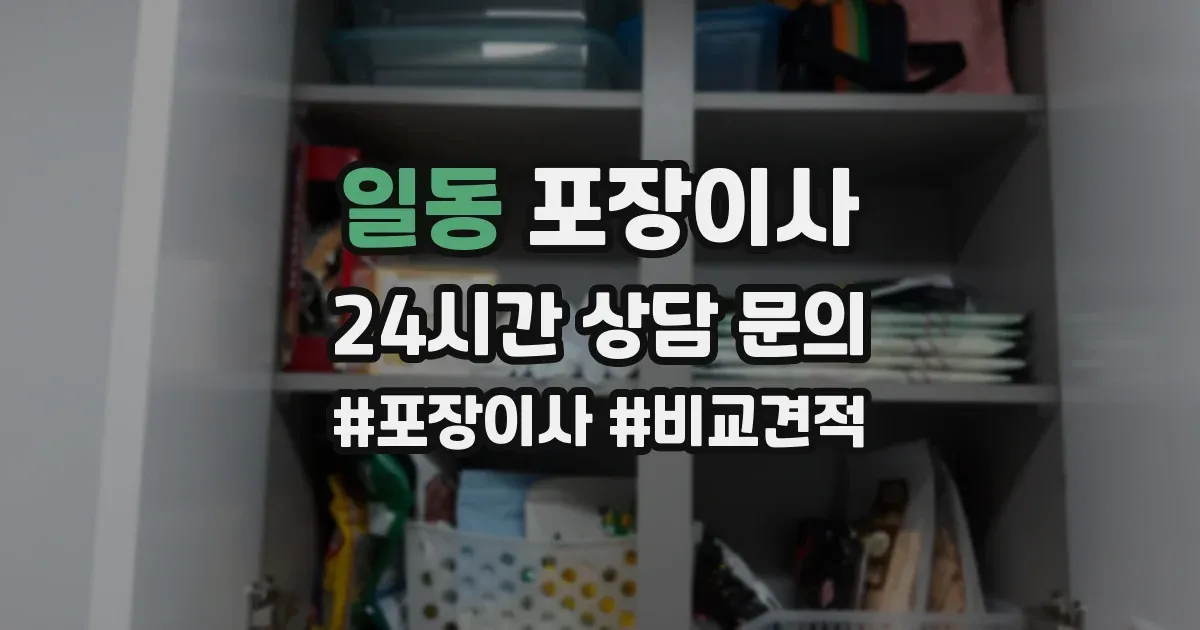 일동 포장이사