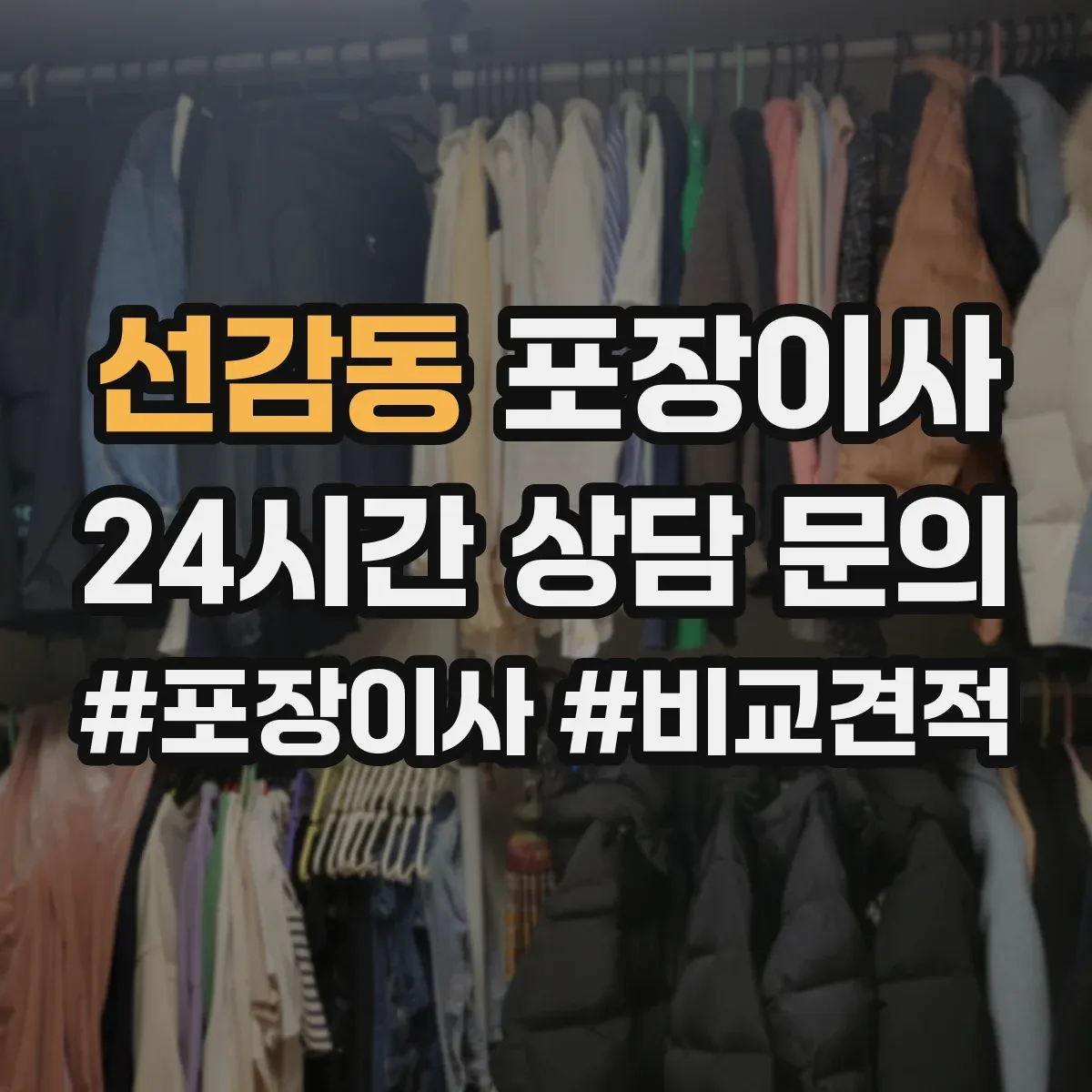 선감동 포장이사