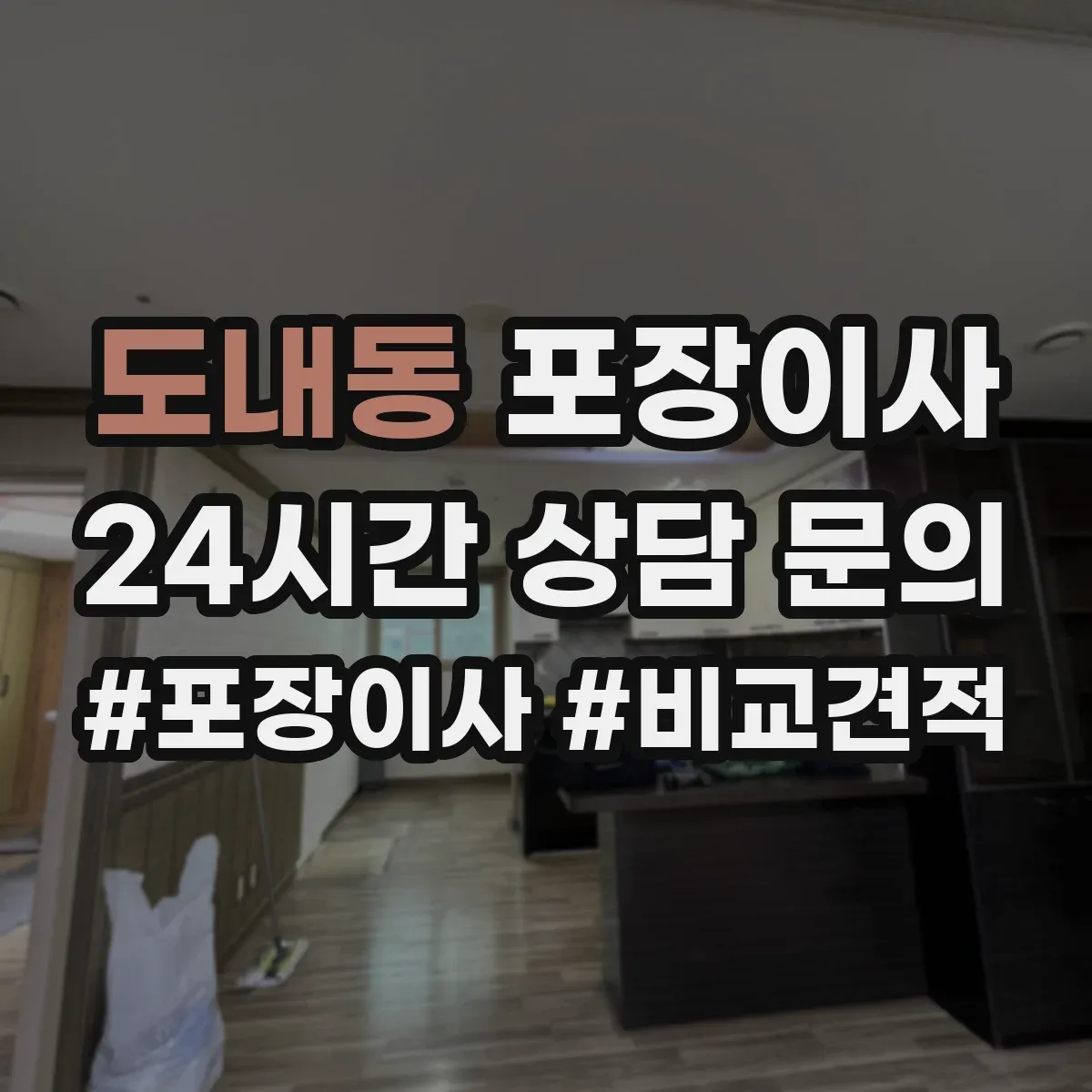 도내동 포장이사