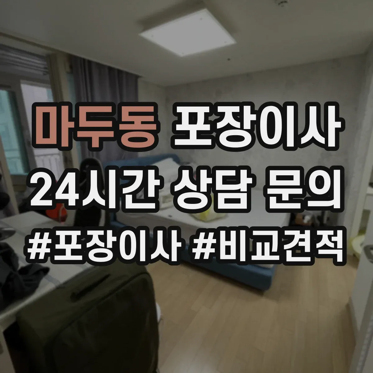 마두동 포장이사