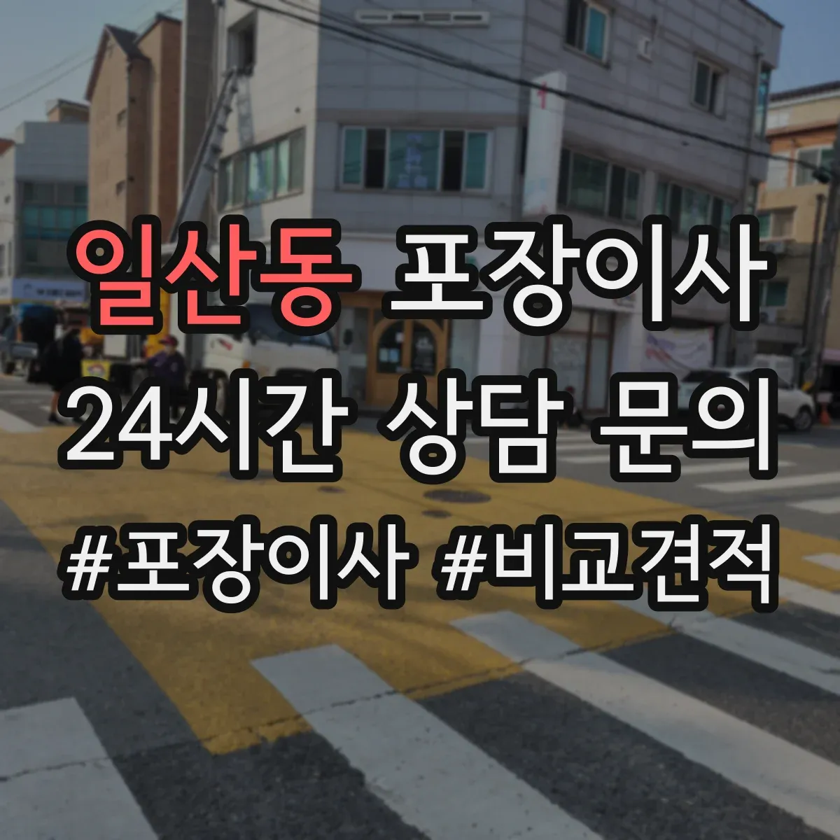 일산동 포장이사
