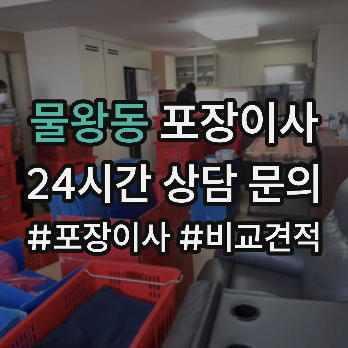 물왕동 포장이사