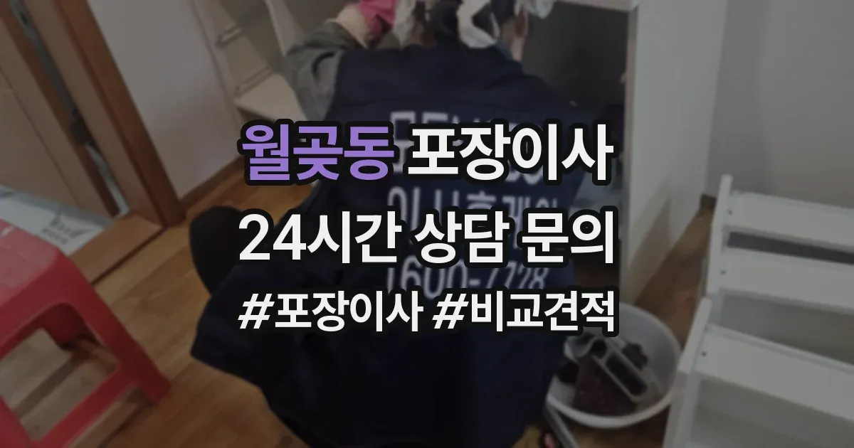 월곶동 포장이사