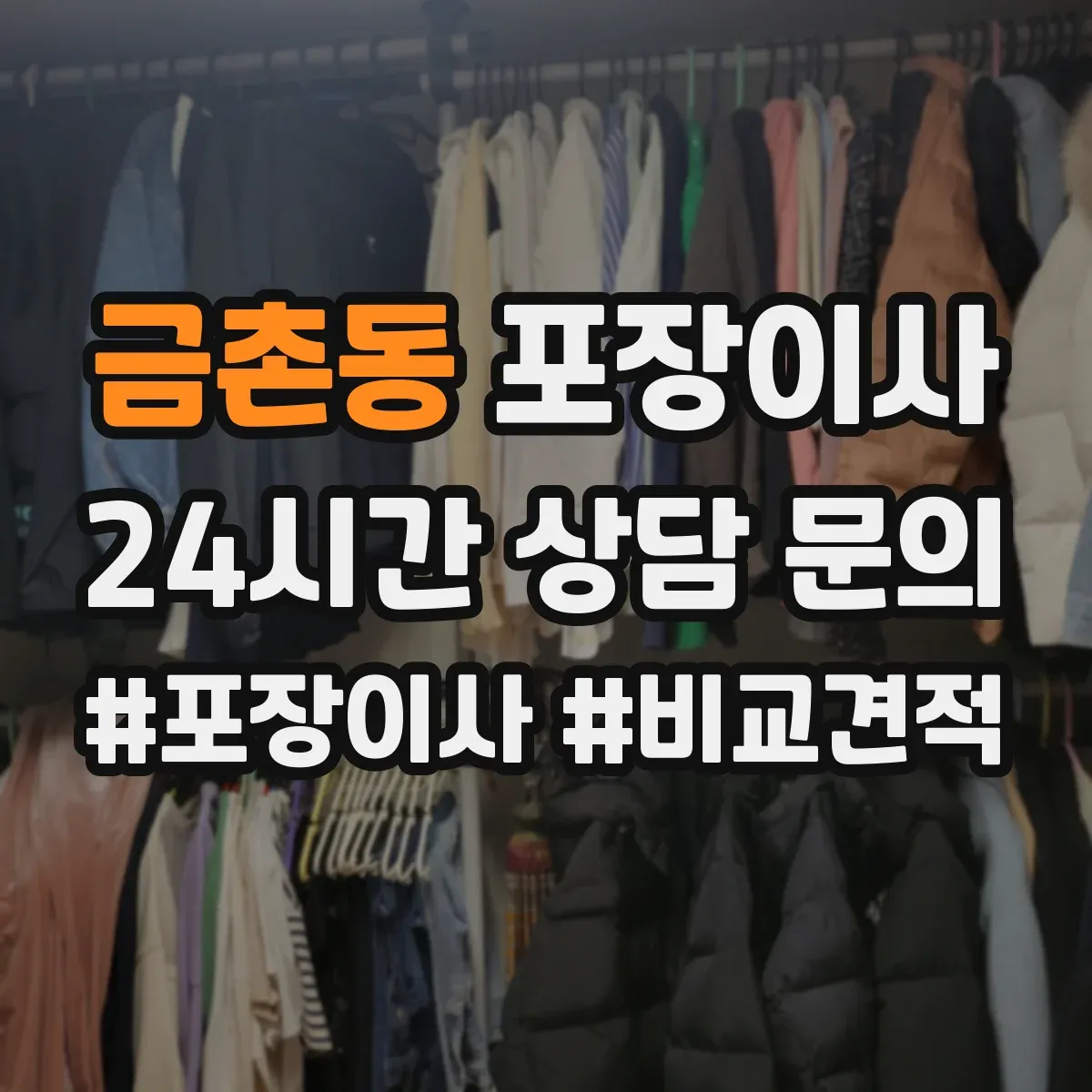 금촌동 포장이사