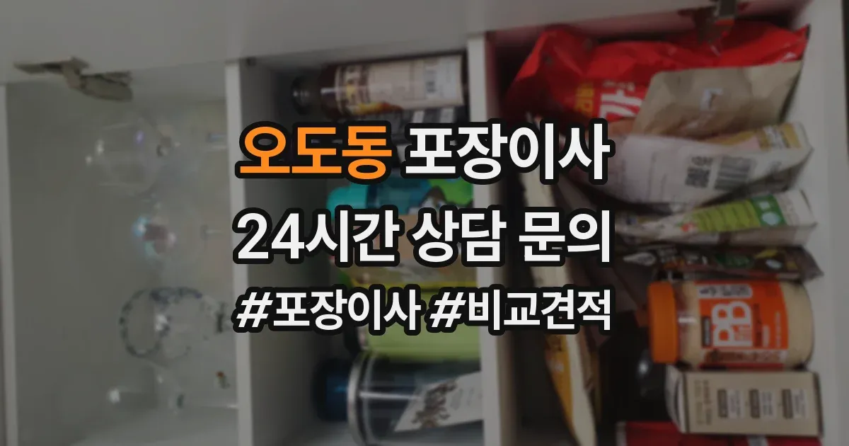 오도동 포장이사
