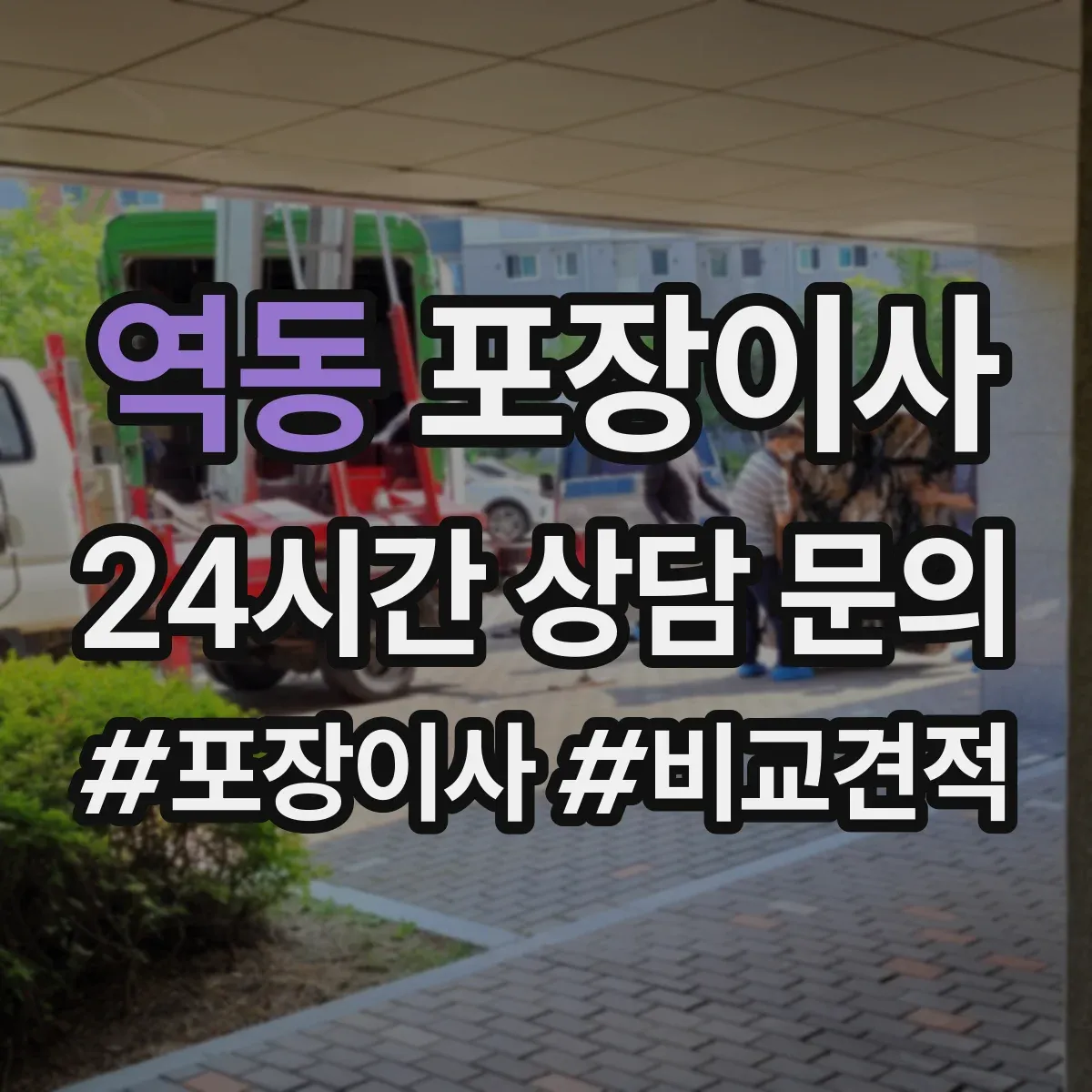 역동 포장이사