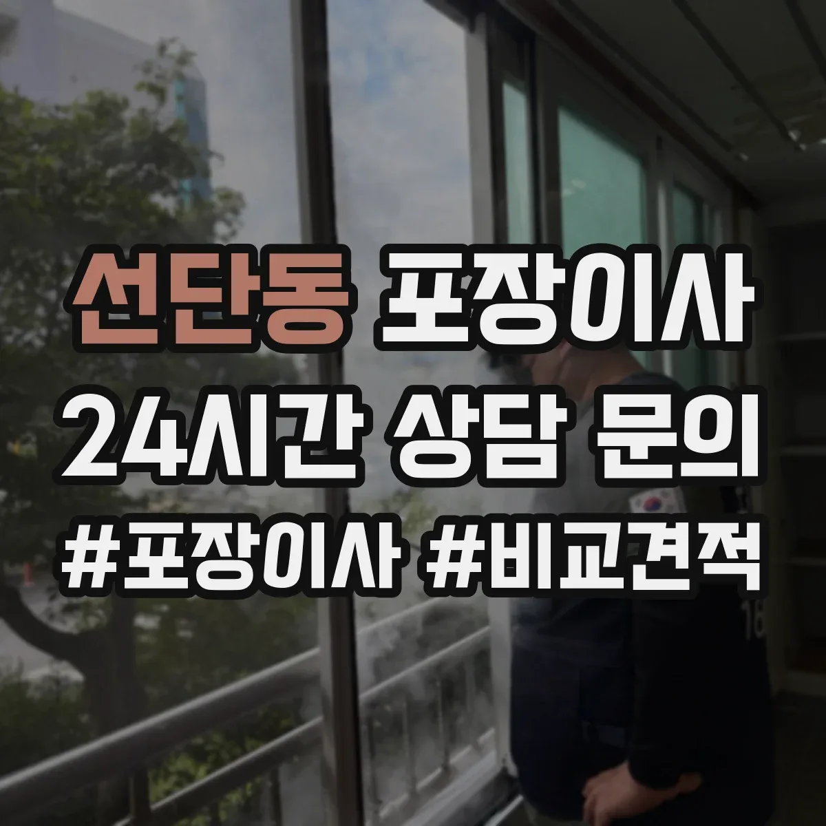 선단동 포장이사