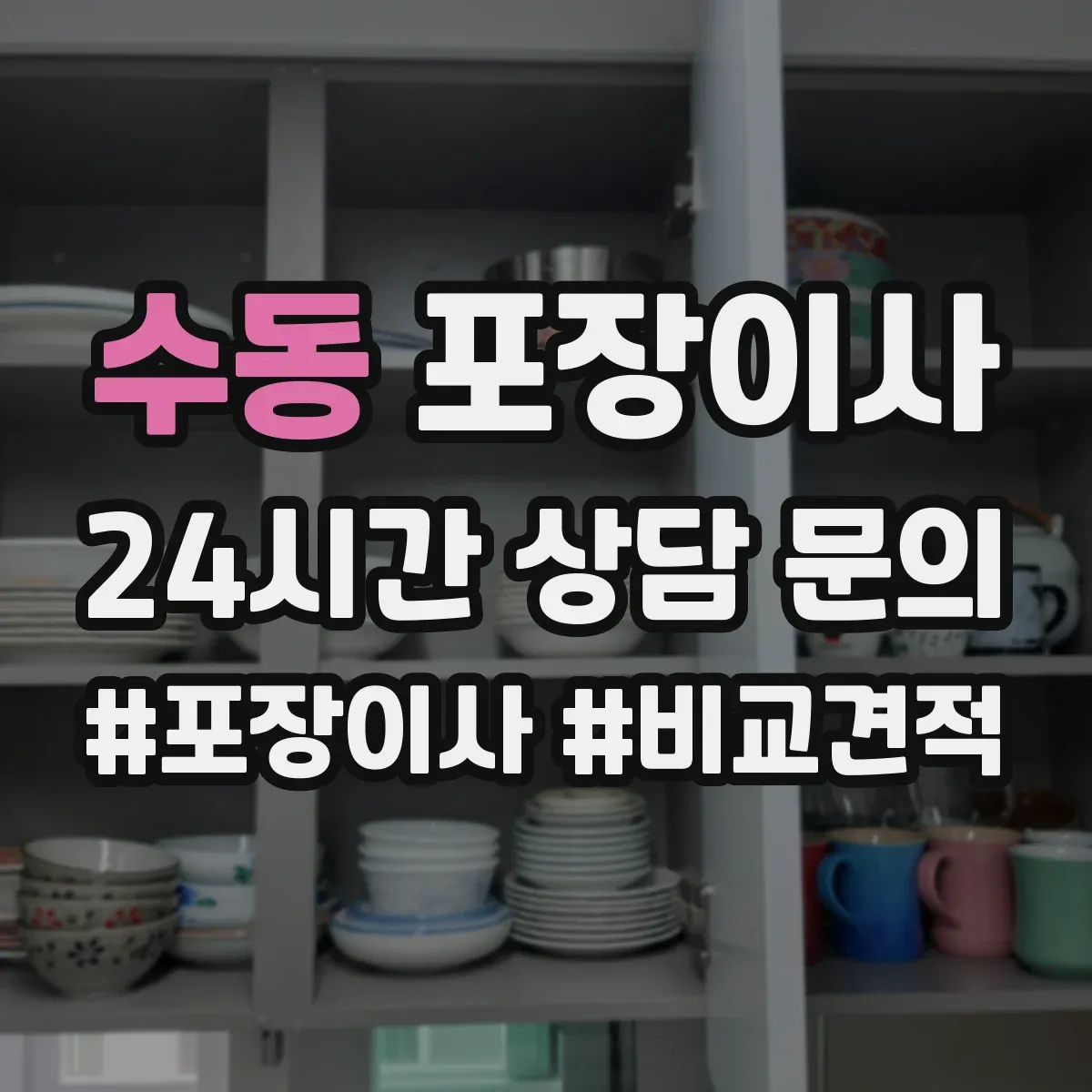 수동 포장이사