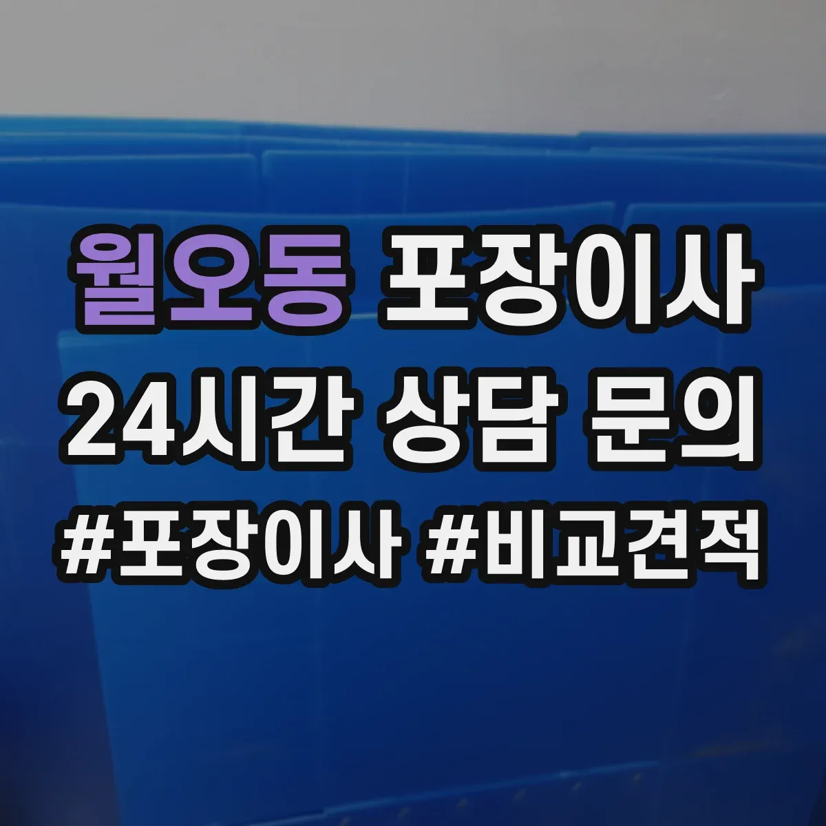 월오동 포장이사