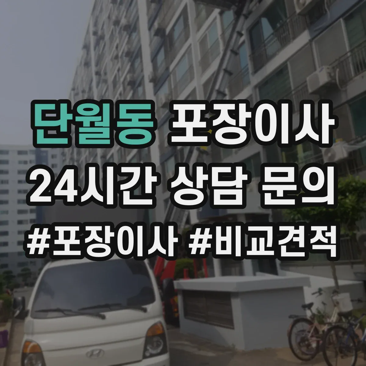단월동 포장이사