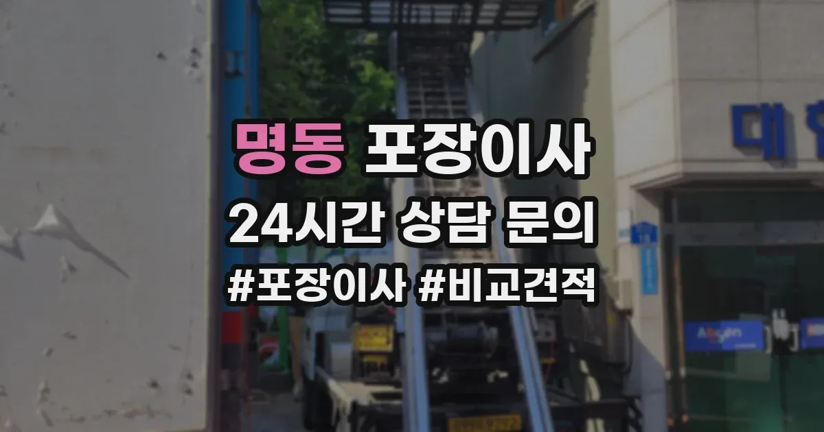 명동 포장이사