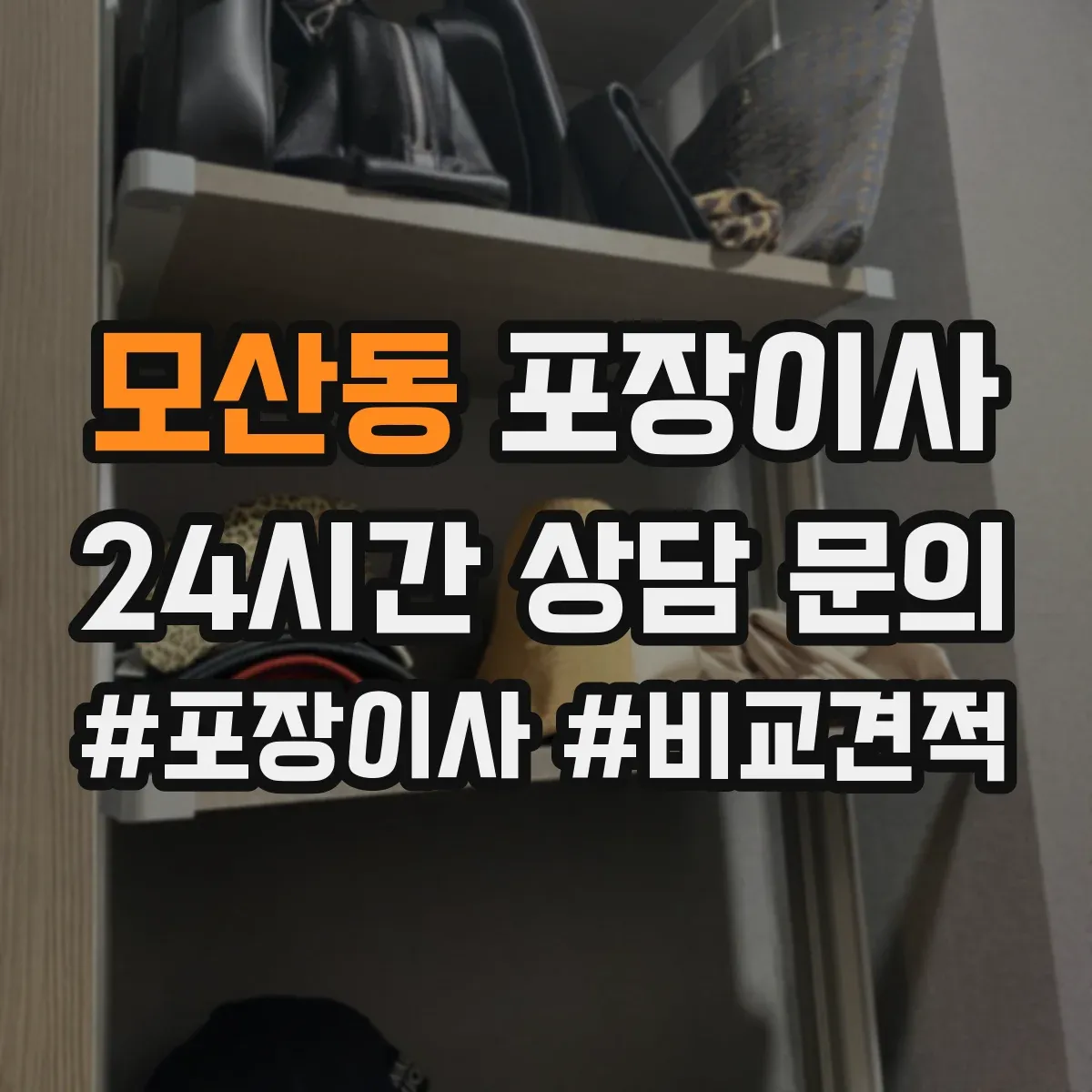 모산동 포장이사