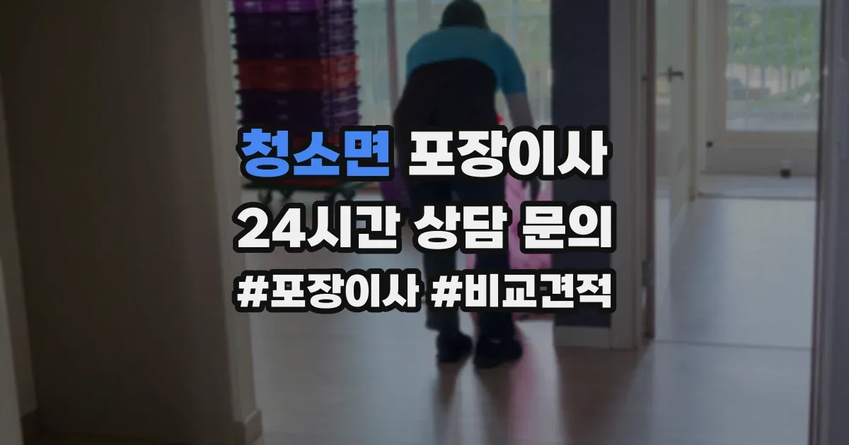 청소면 포장이사