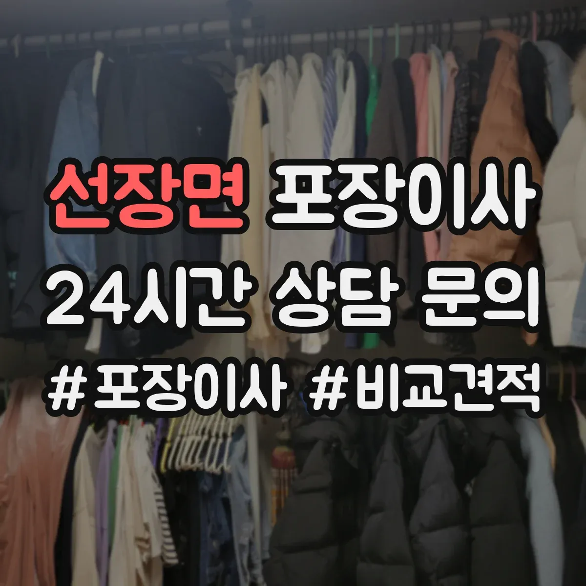 선장면 포장이사