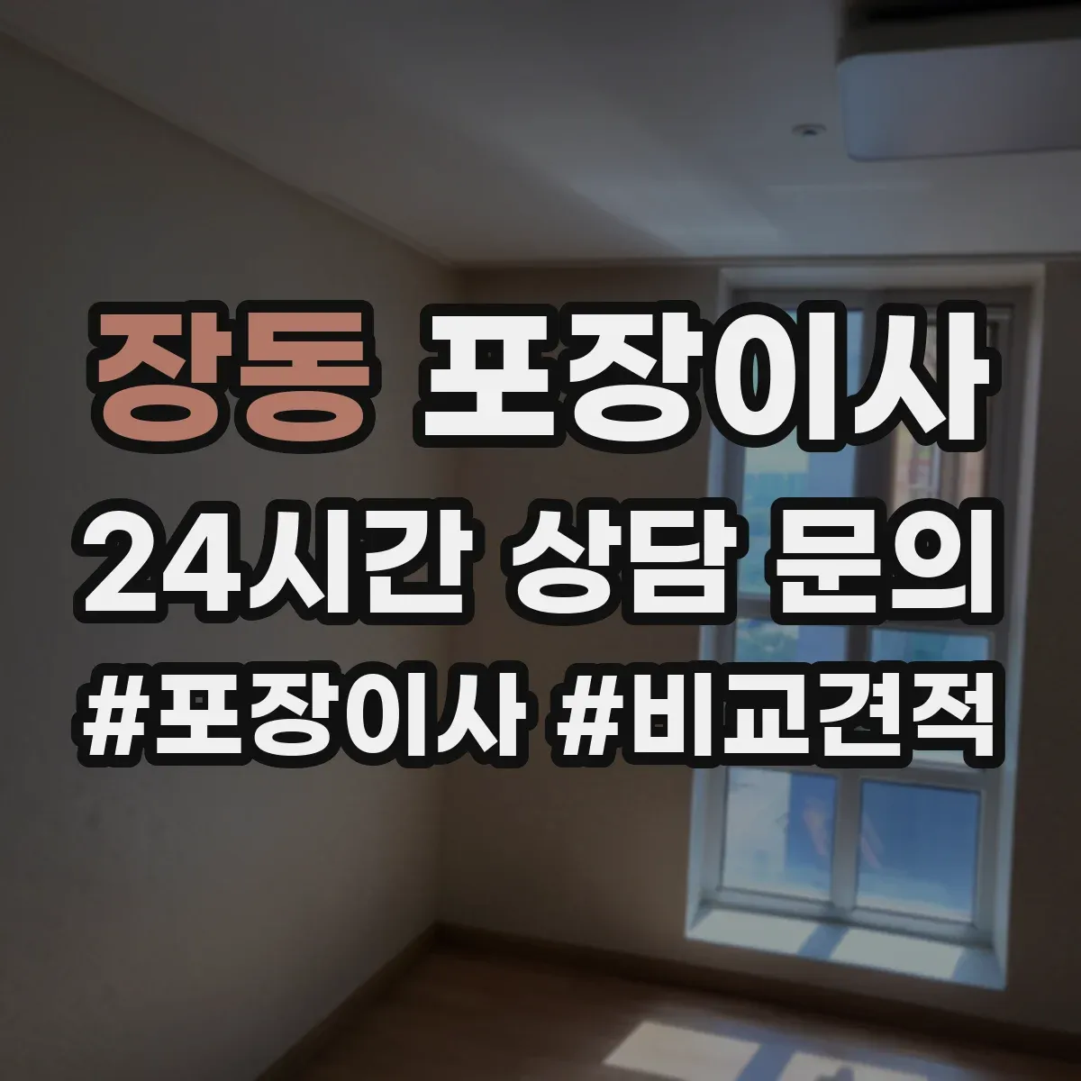 장동 포장이사