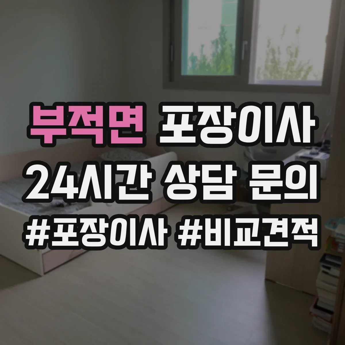 부적면 포장이사 반려동물 동선 고려한 포장 자재와 작업 순서