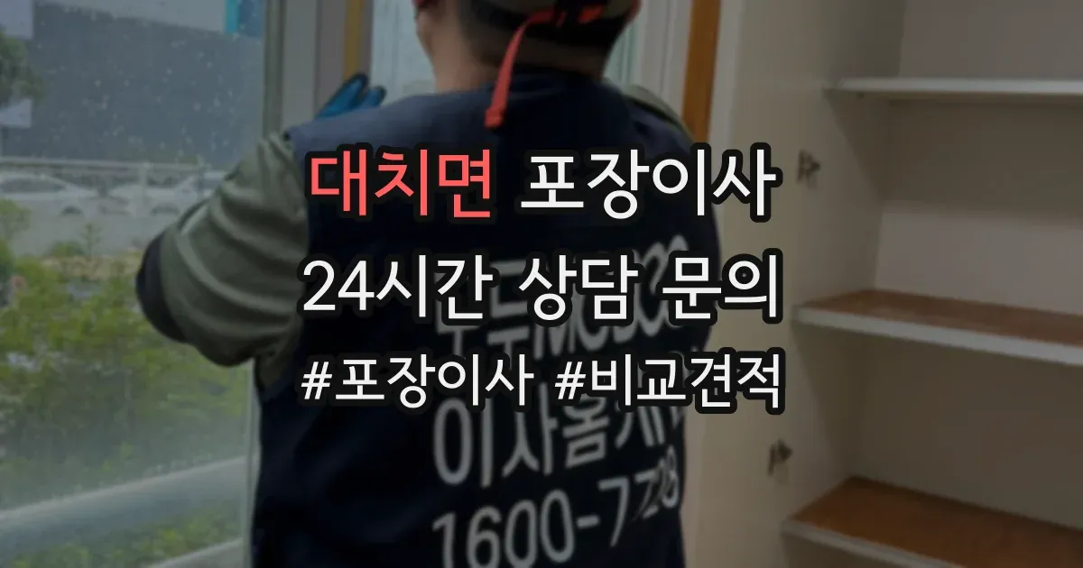 대치면 포장이사