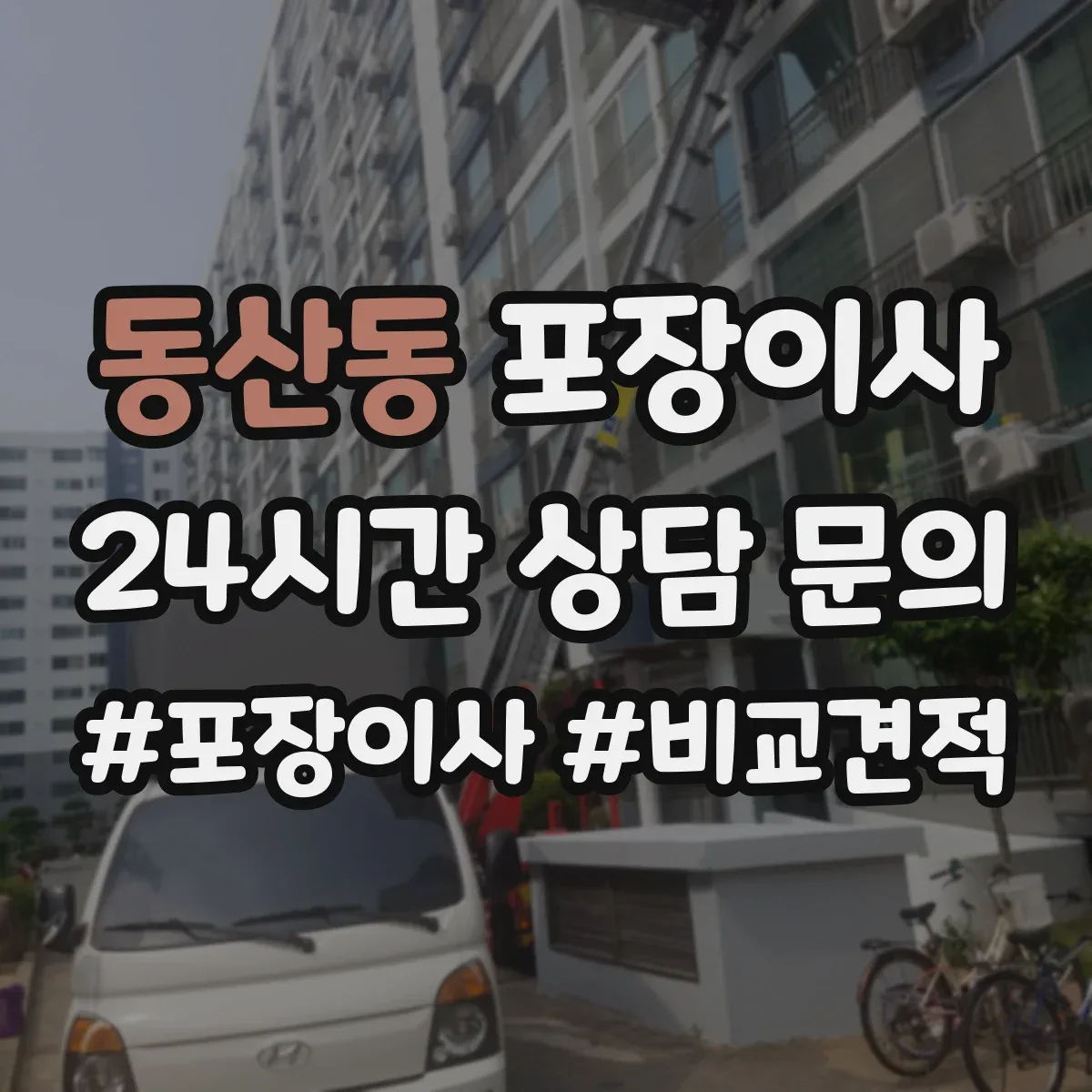 동산동 포장이사