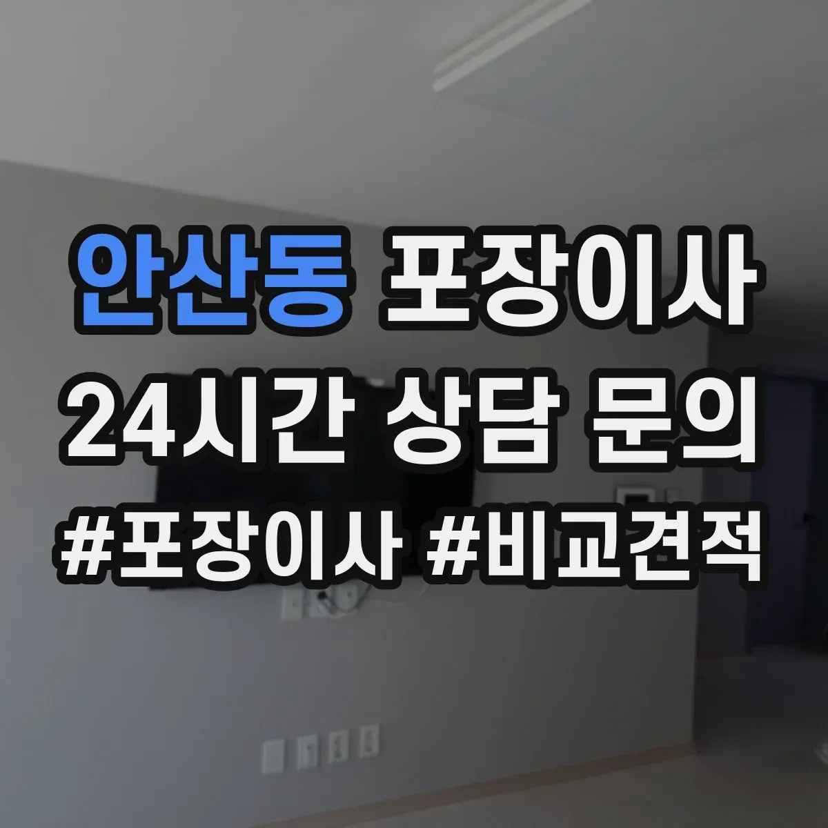 안산동 포장이사 고가 물품 취급 시 포장 단계별 확인 포인트
