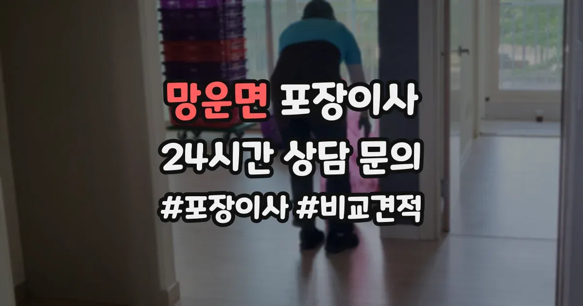 망운면 포장이사