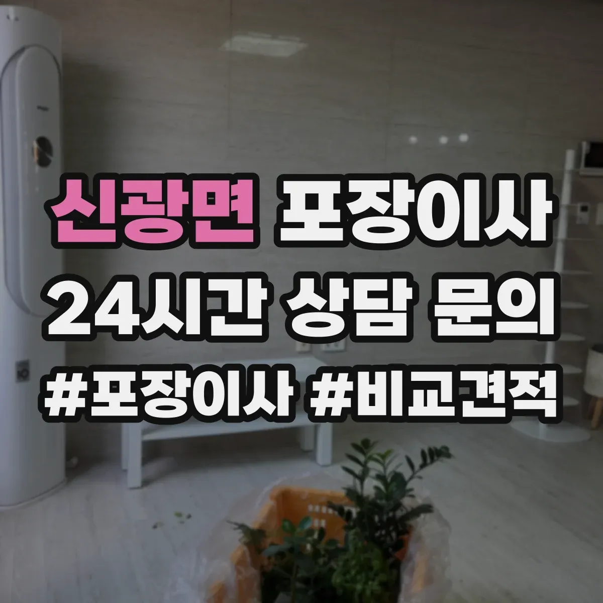 신광면 포장이사