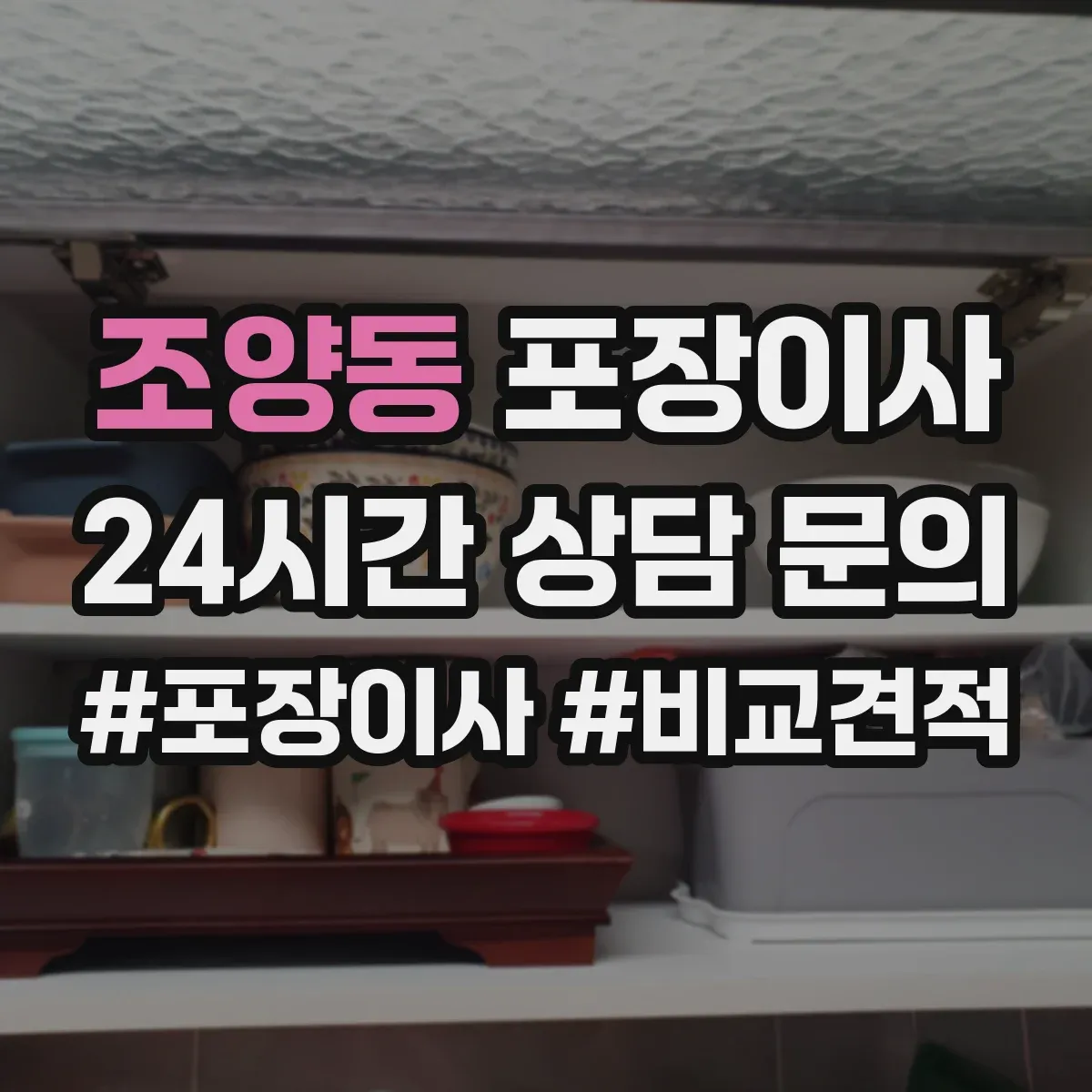 조양동 포장이사