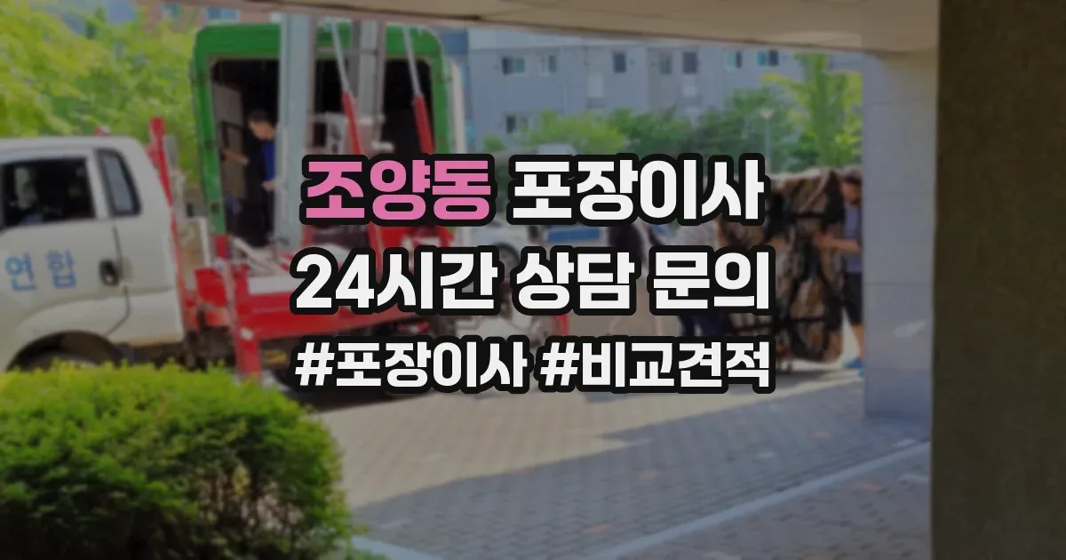 조양동 포장이사