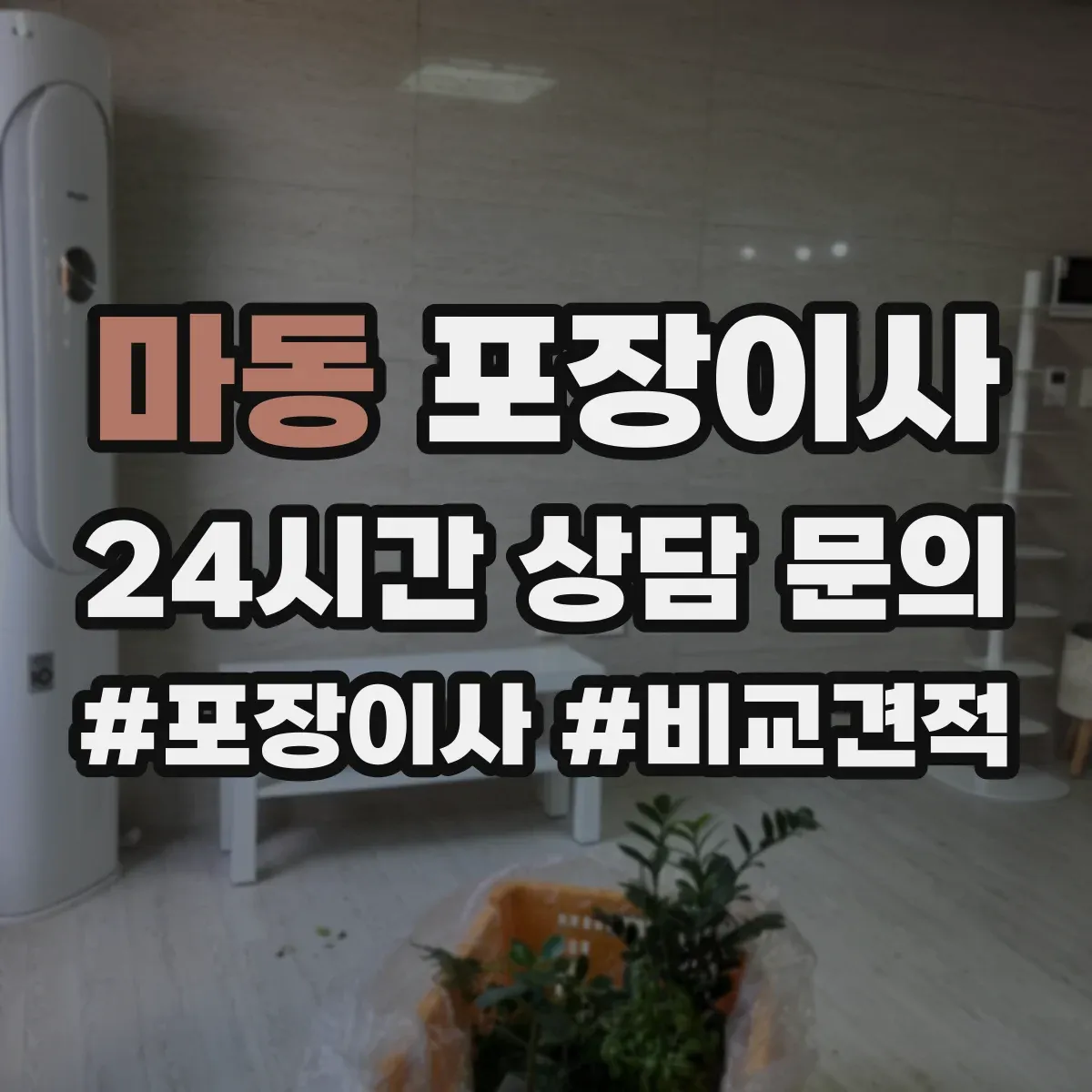 마동 포장이사