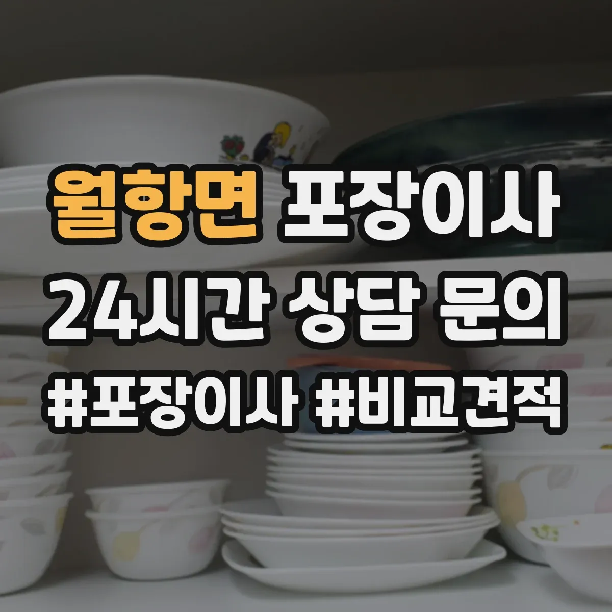 월항면 포장이사 보험 보장 범위 표현별 의미 차이