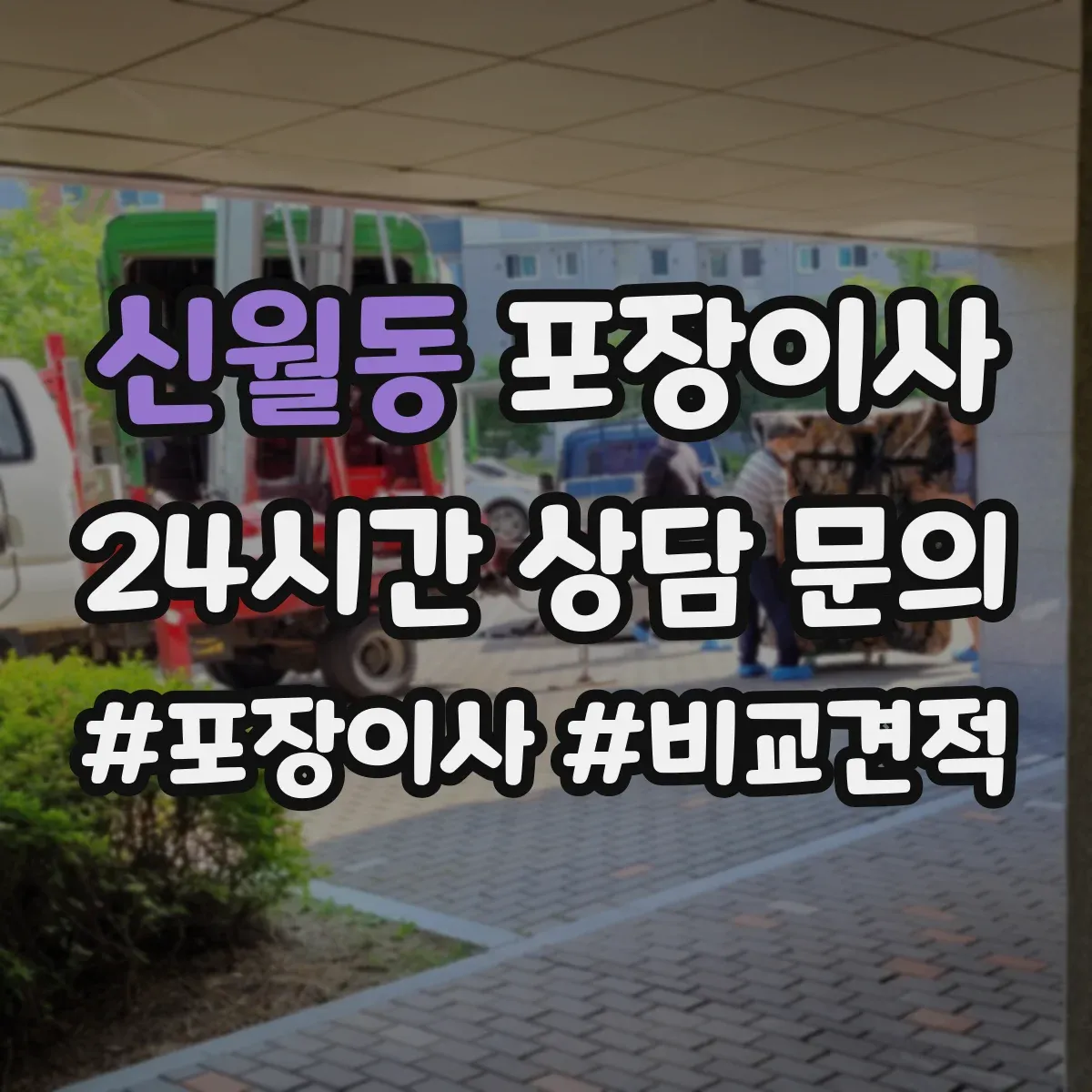신월동 포장이사