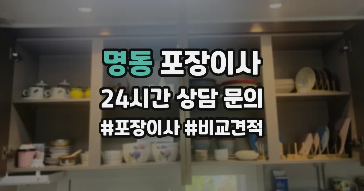 명동 포장이사