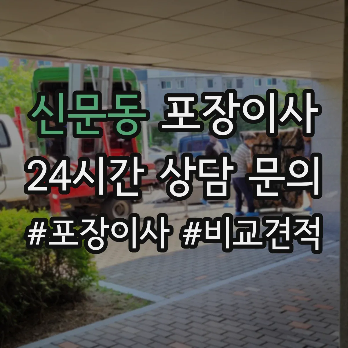 신문동 포장이사