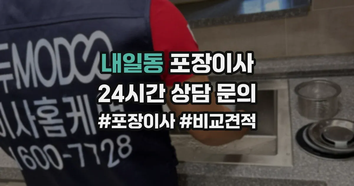 내일동 포장이사