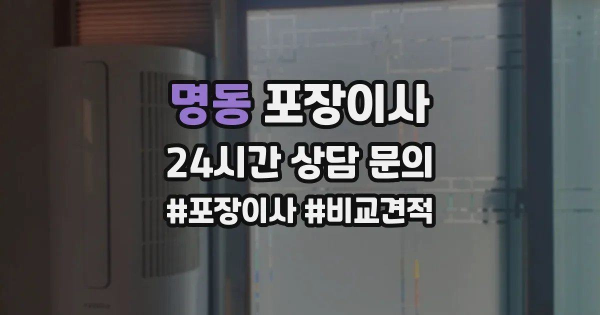 명동 포장이사