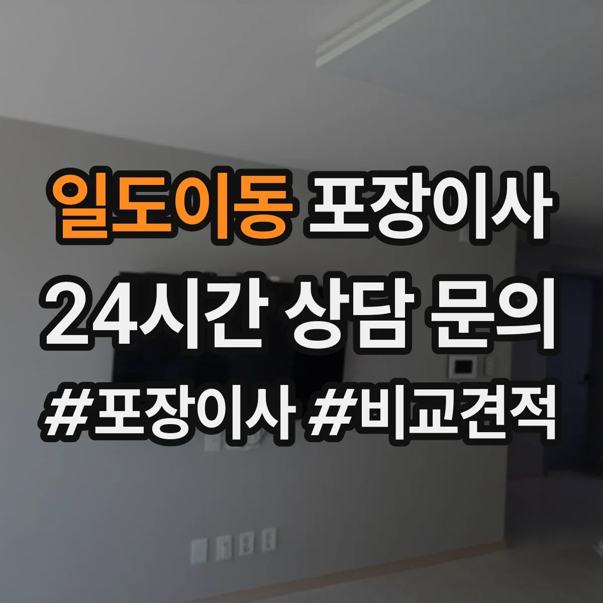 일도이동 포장이사