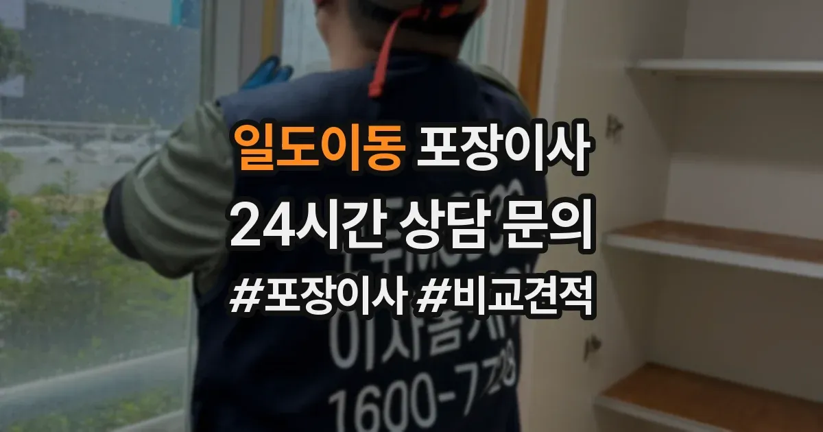 일도이동 포장이사