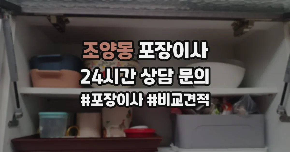 조양동 포장이사