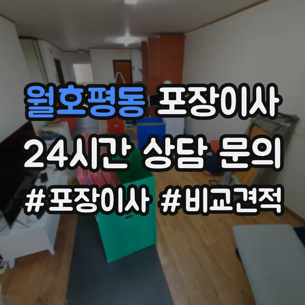 월호평동 포장이사