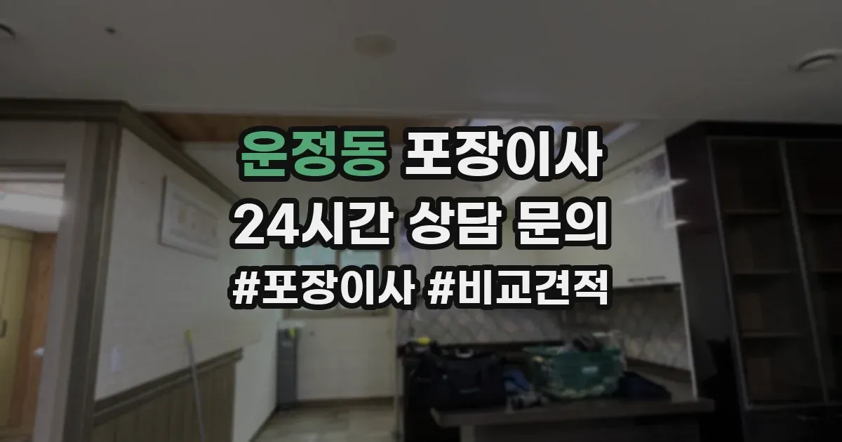 운정동 포장이사