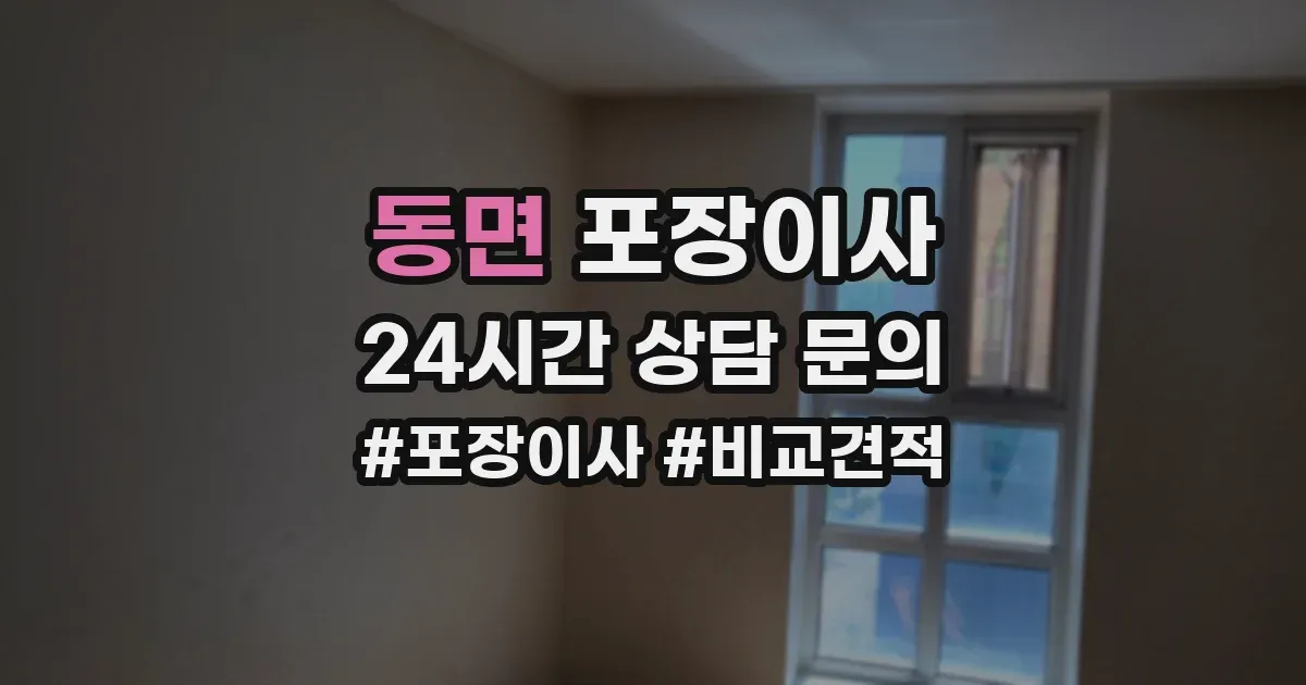 동면 포장이사