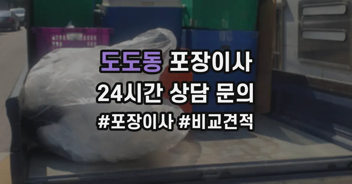 도도동 포장이사