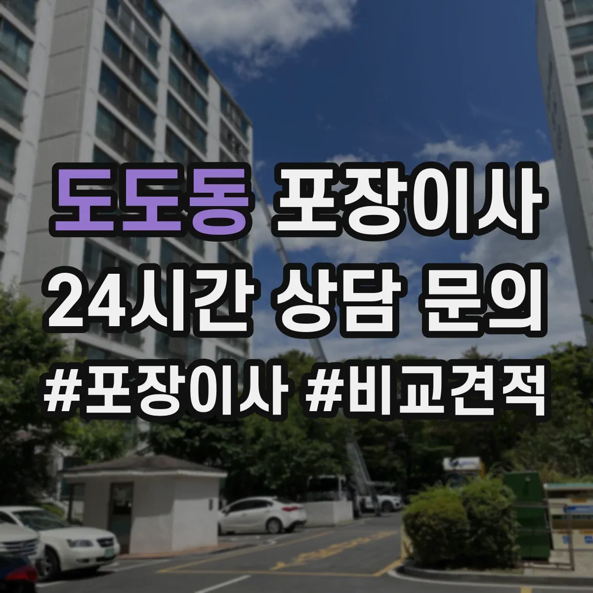 도도동 포장이사