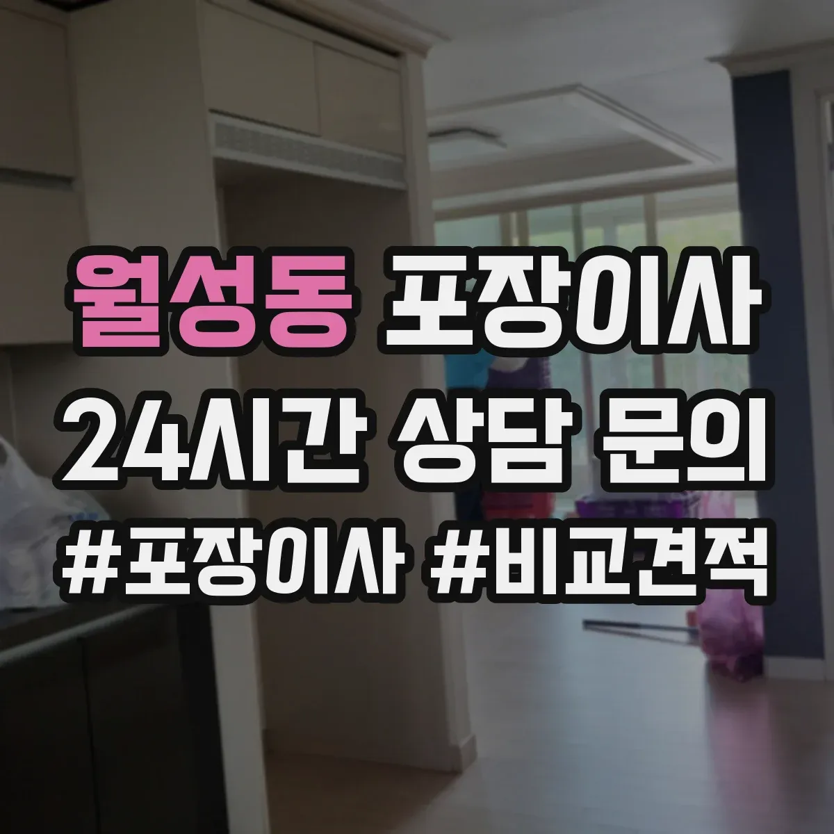 월성동 포장이사