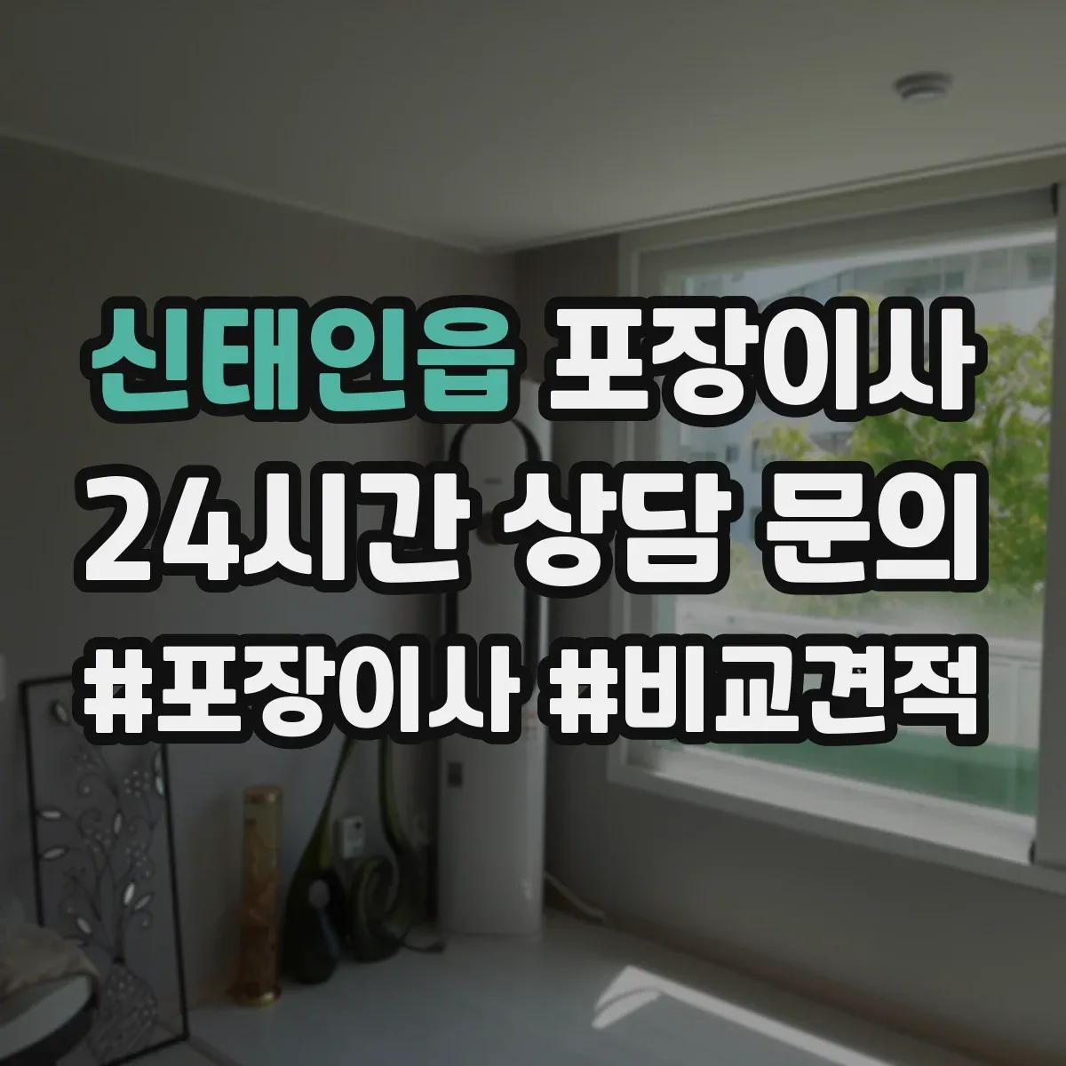 신태인읍 포장이사 반려동물 동선 고려한 포장 자재와 작업 순서