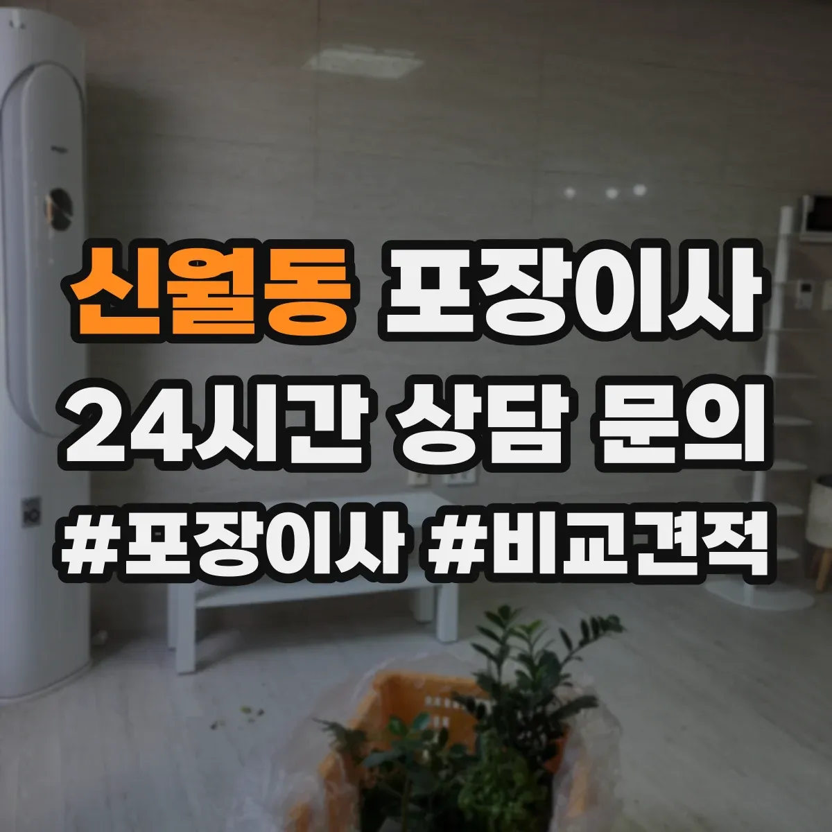 신월동 포장이사