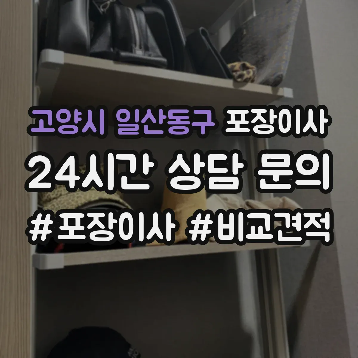 고양시 일산동구 포장이사