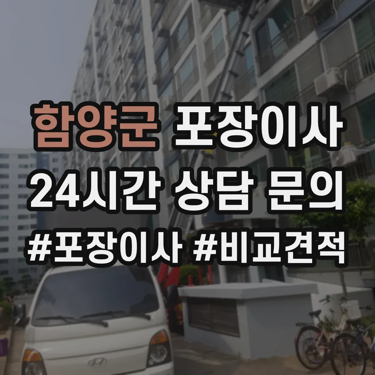 함양군 포장이사 반려동물 동선 고려한 포장 자재와 작업 순서