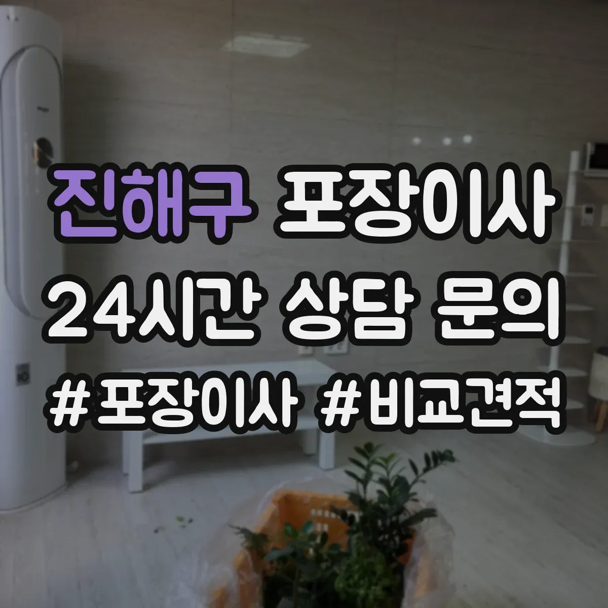 진해구 포장이사