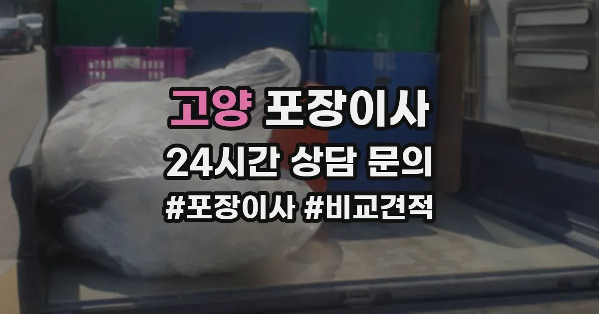 고양 포장이사