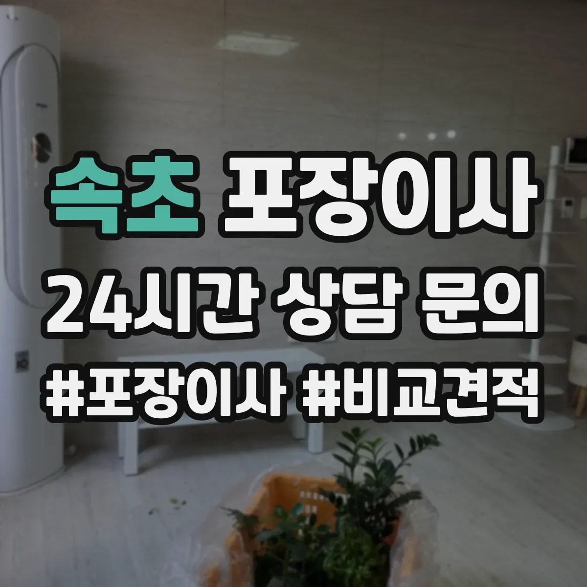 속초 포장이사
